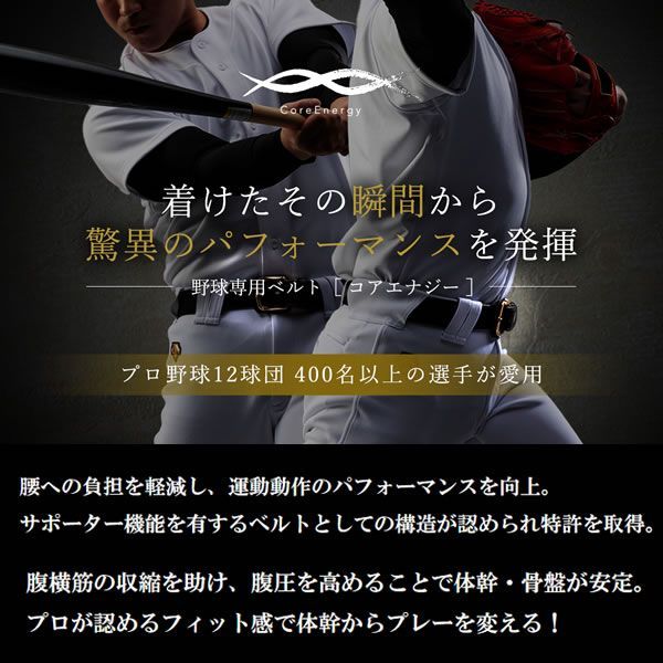 ベルト 第三弾リニューアルモデル