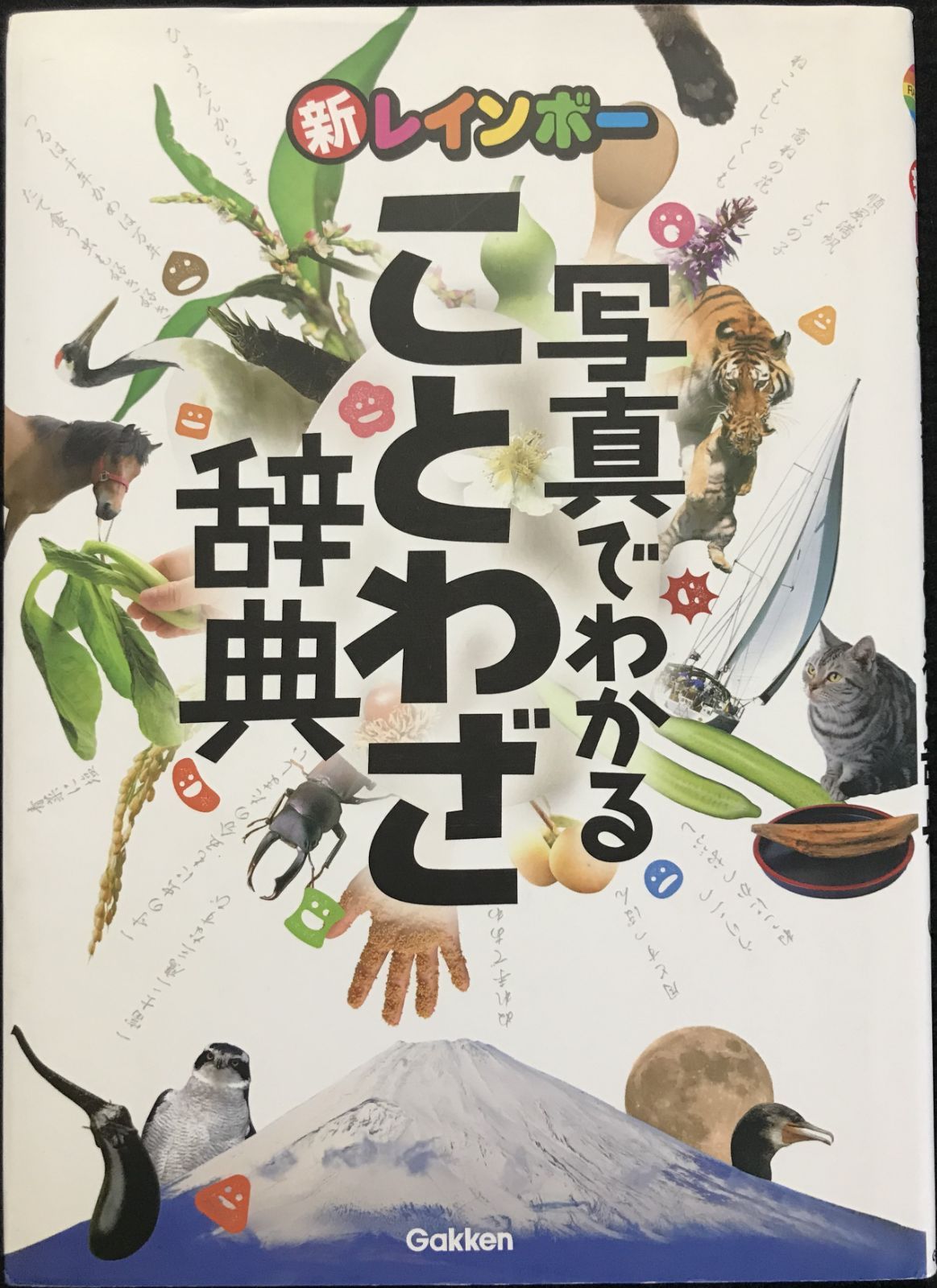 新レインボー 写真でわかる ことわざ辞典 (小学生向辞典・事典)   08d00