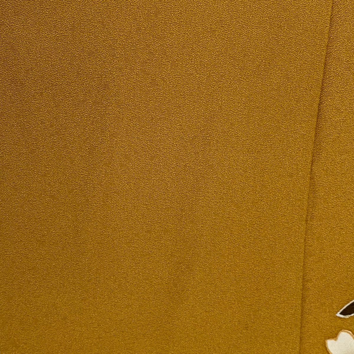 金彩 ぼかし