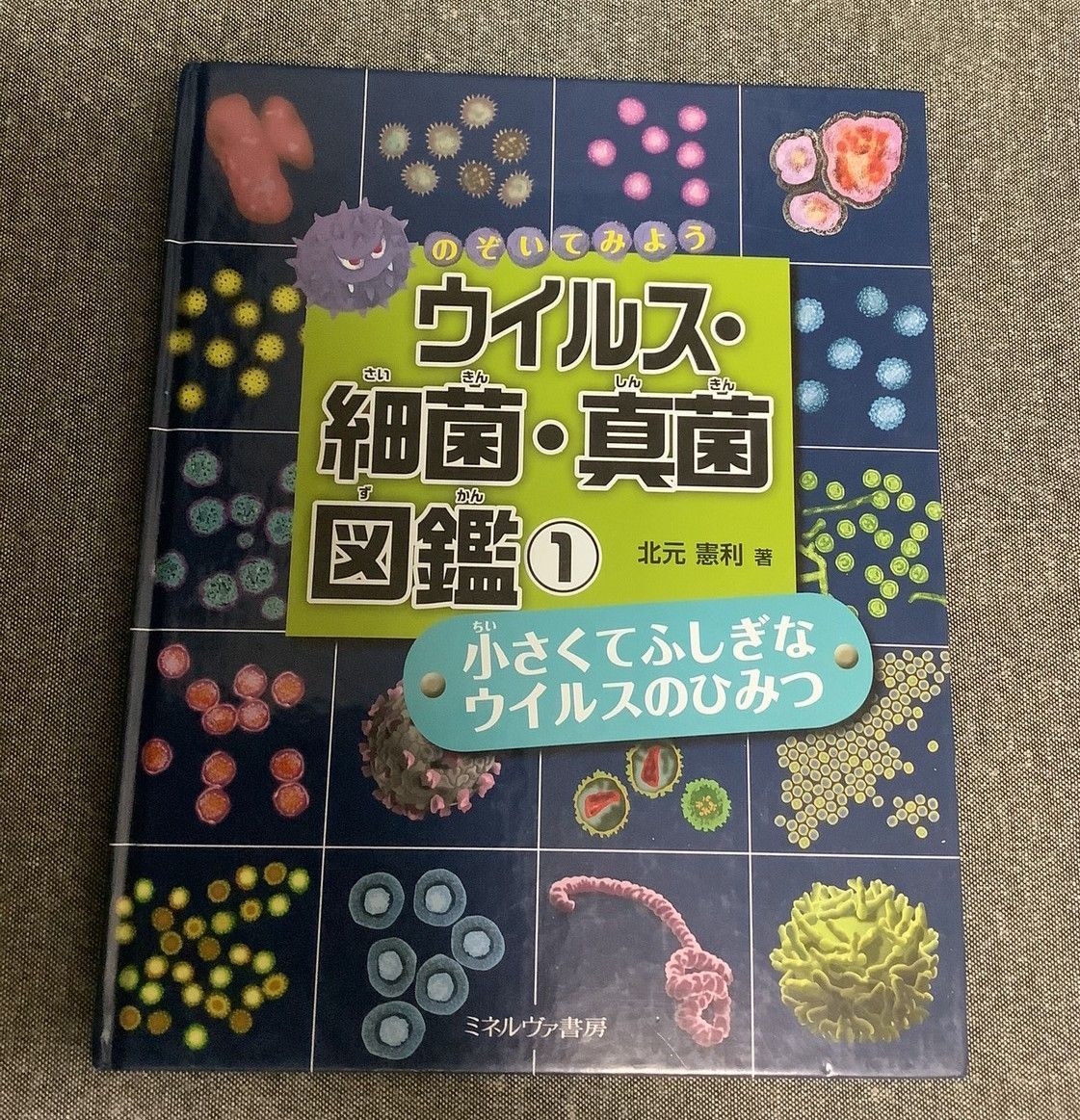 小さくてふしぎな ウイルスのひみつ 北元 憲利 (著) のぞいて