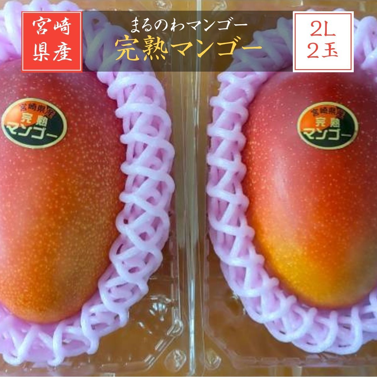 マンゴー まるのわマンゴー 完熟マンゴー 2L 2個 宮崎県宮崎市 5|上～5|中の出荷