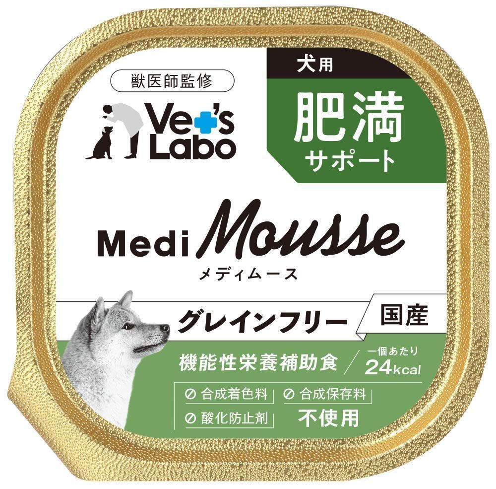 シャークスキン 中株 発根済み シャークバイト ニグラ④ 2025年最新