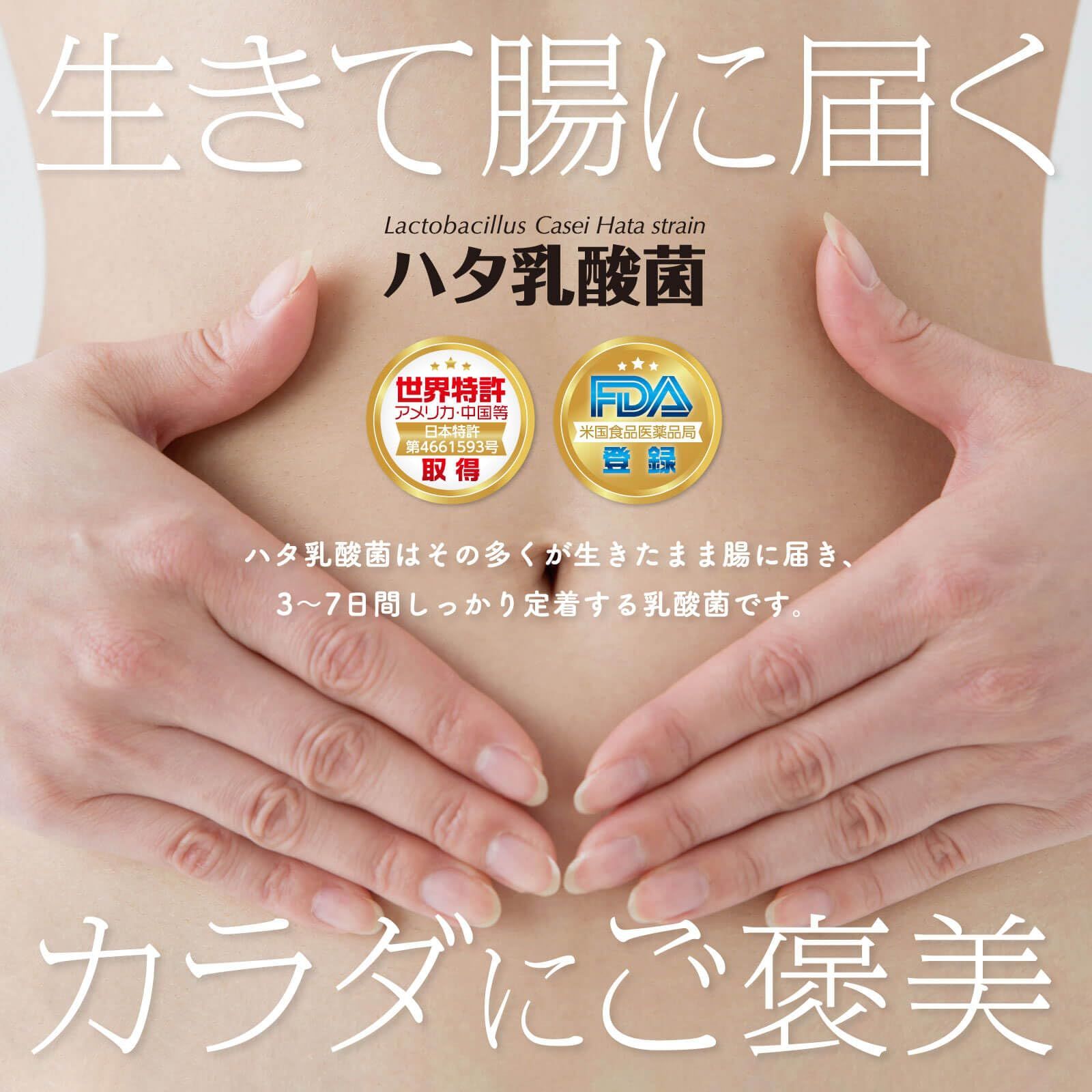ハタ乳酸菌 2g×30包