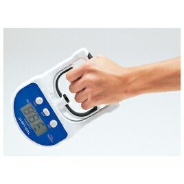 1854 トーエーライト