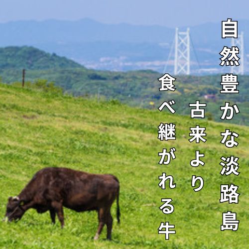 牛肉 肉
