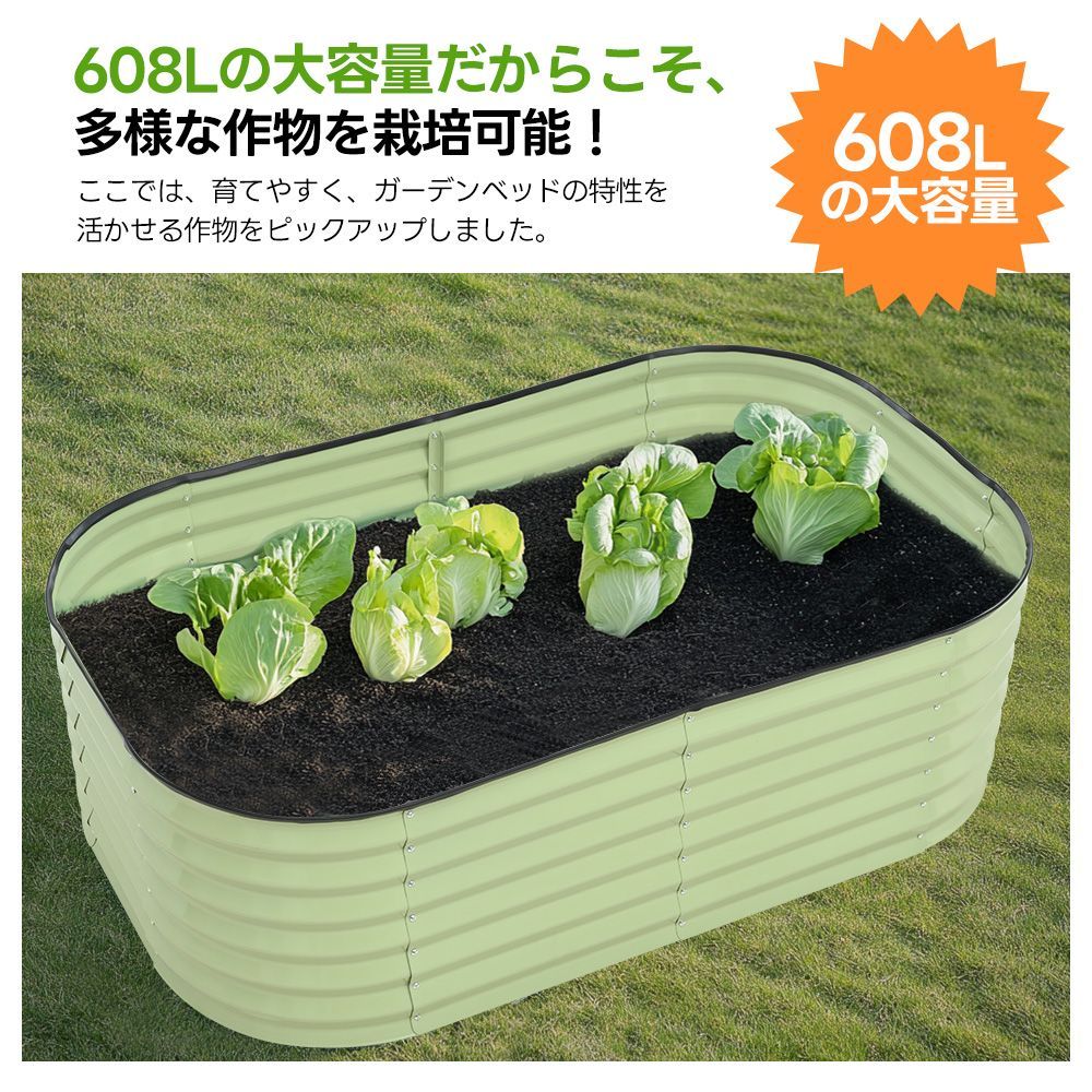 屋外 野菜