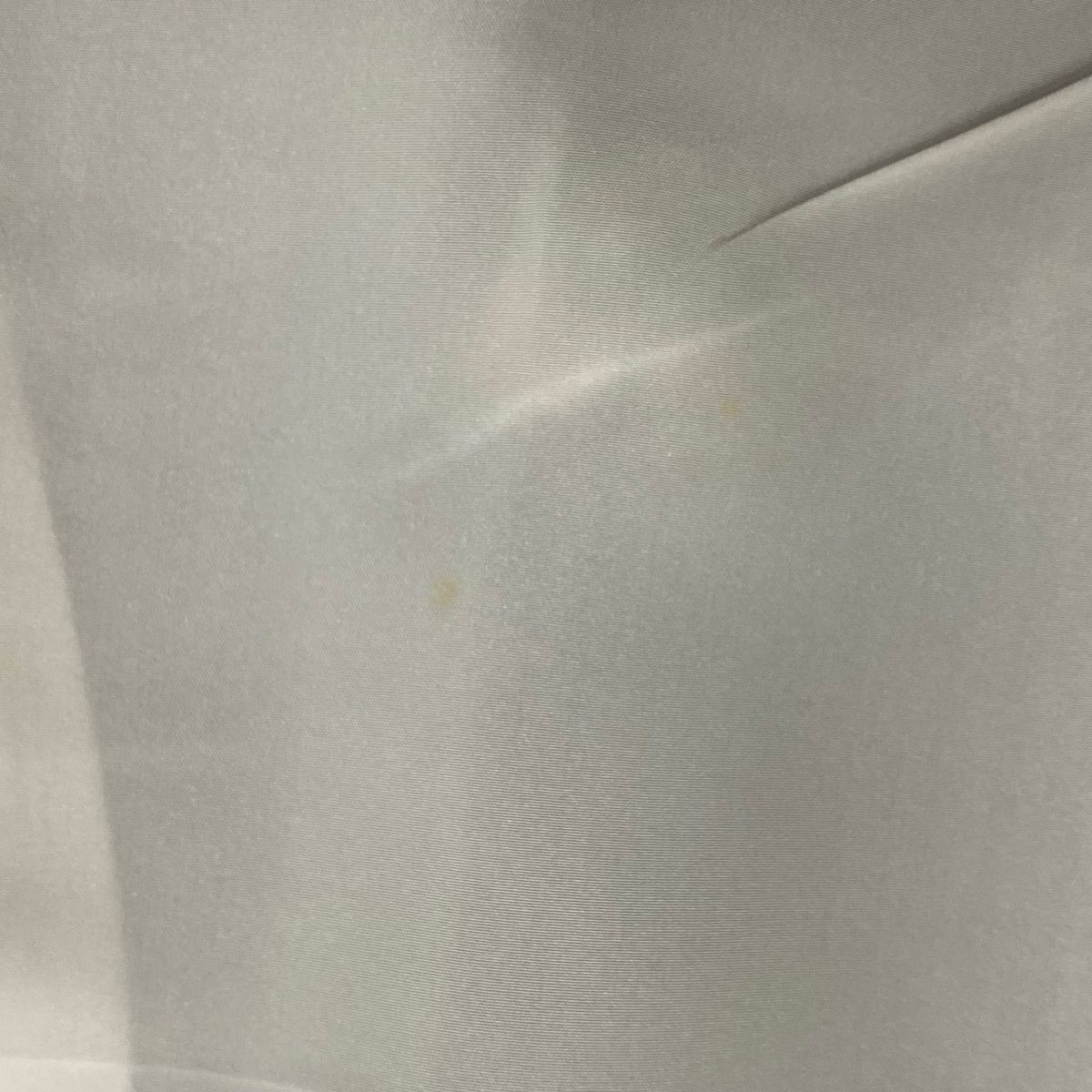 訪問着 身丈160.5cm 裄丈64.5cm M 袷 落款 葡萄 草花 金銀彩 ぼかし  