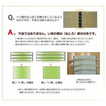 純国産い草 上敷き カーペット 双目織 「松」 団地間4.5畳 約255×255cm 1010030011402