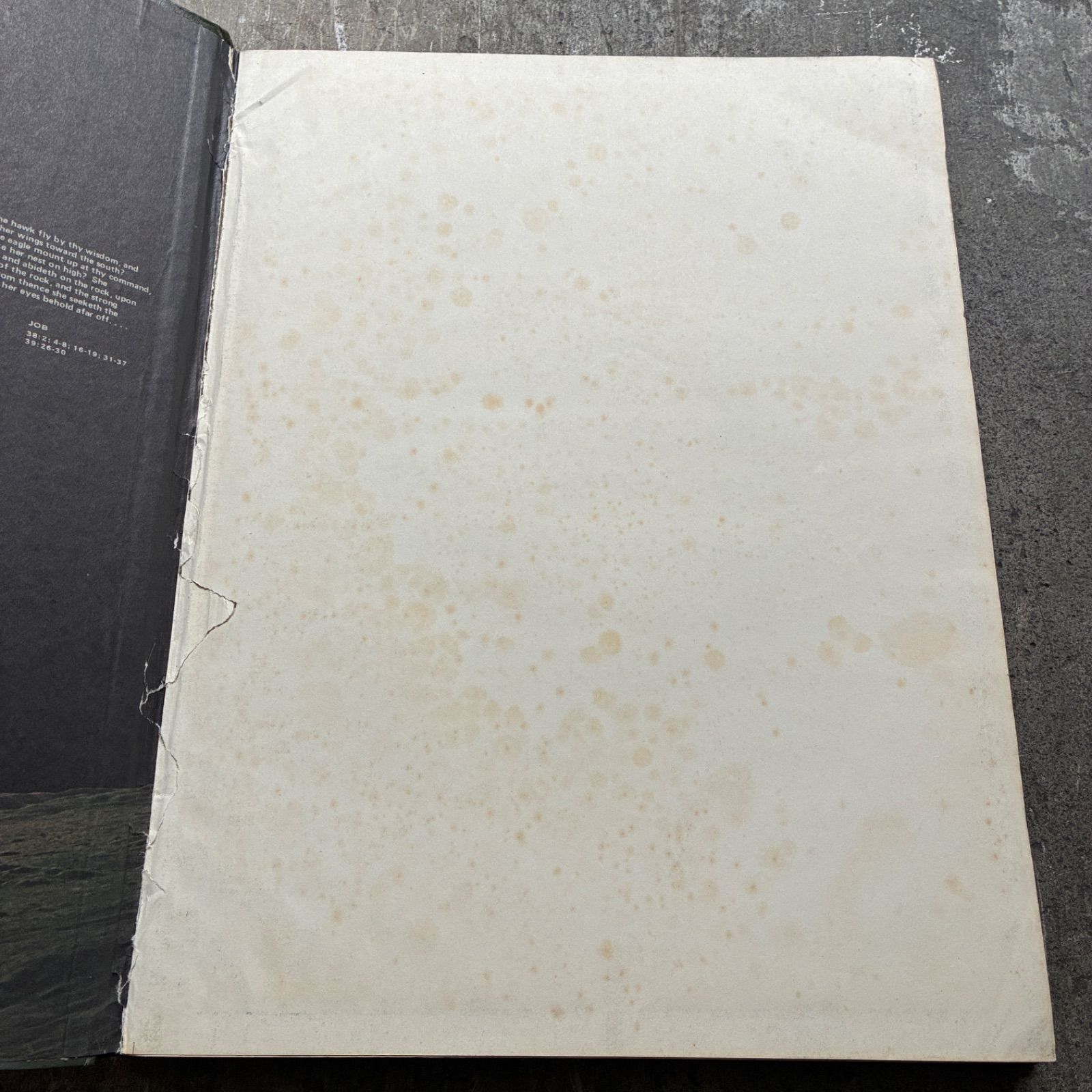 Whole Earth Epilog ホールアースエピローグ　1974年刊 Whole Earth Epilog ホールアースエピローグ / Whole Earth Catalog