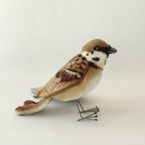 スズメ 中野さとる on X: 