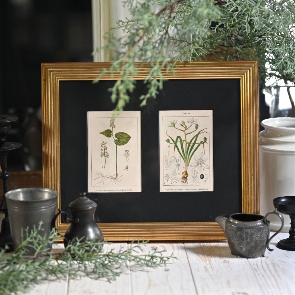 みみmama様専用☆65mm木幅ヘザーブラウンMサイズ対応額縁☆ホワイト2