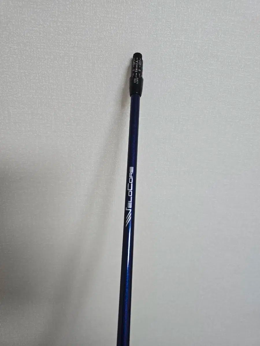VENTUS ヴェンタス