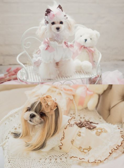 犬服 中型犬 冬服 くまさん柄レイヤードワンピース 3Lサイズ 犬服