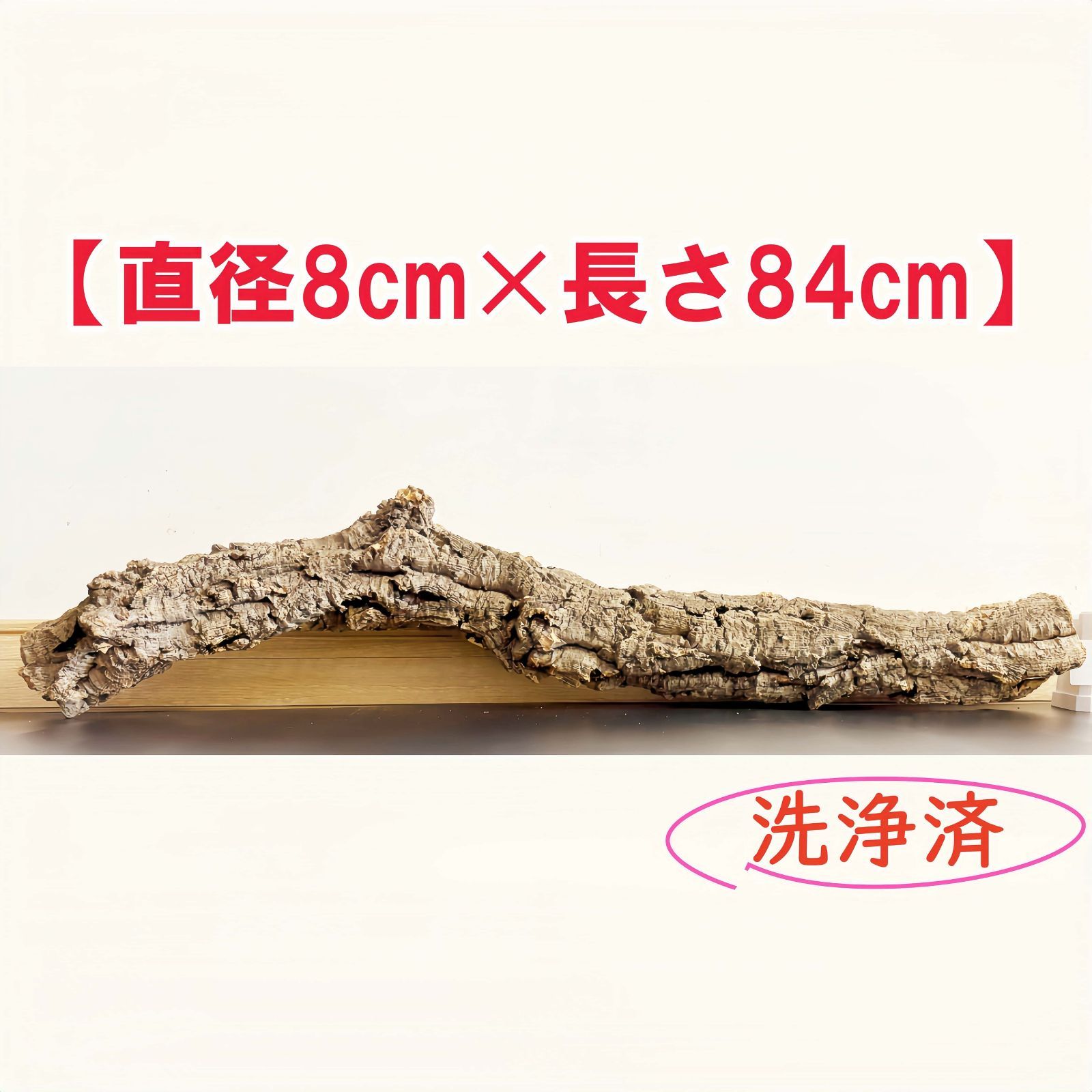 250824 ポルトガル産 キャノンコルク コルク樹皮コルク板