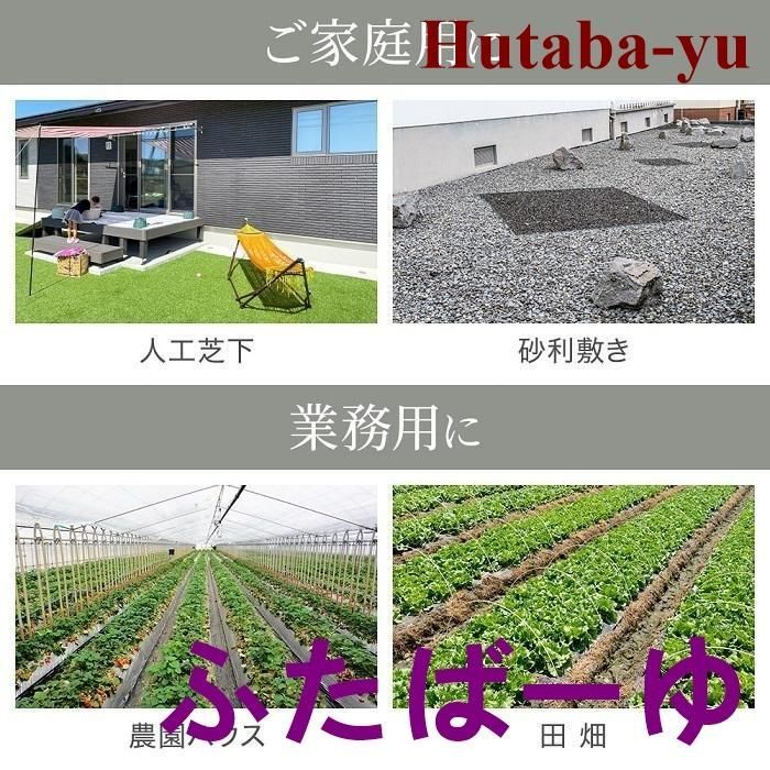 雑草 ぼうそうし