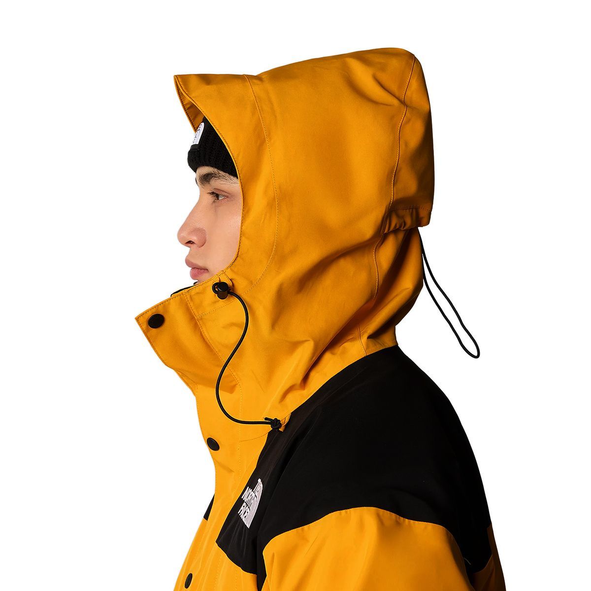 THE NORTH FACE ザ ノースフェイス GTX MOUNTAIN JACKET マウンテン 