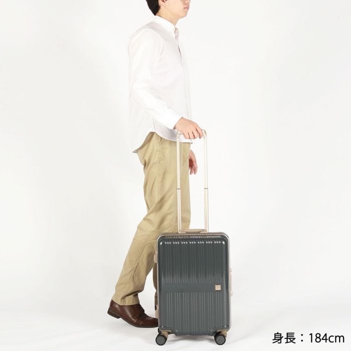 フレームタイプ 36L