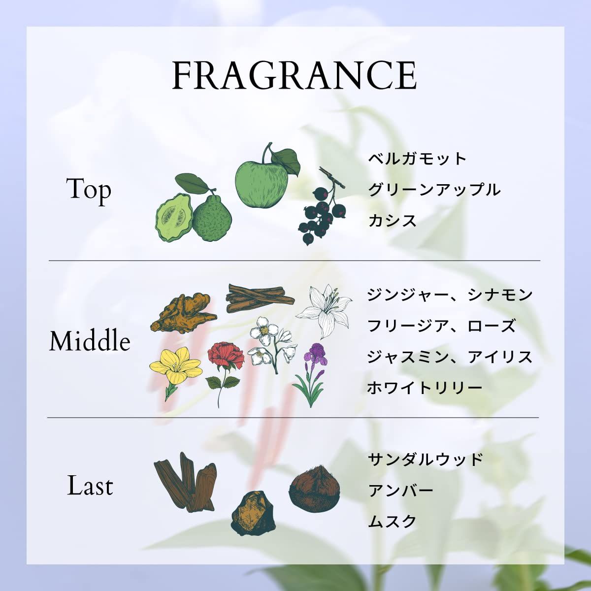 アクアディパルマイリスノービレレザーパースプレー＆詰替え用3