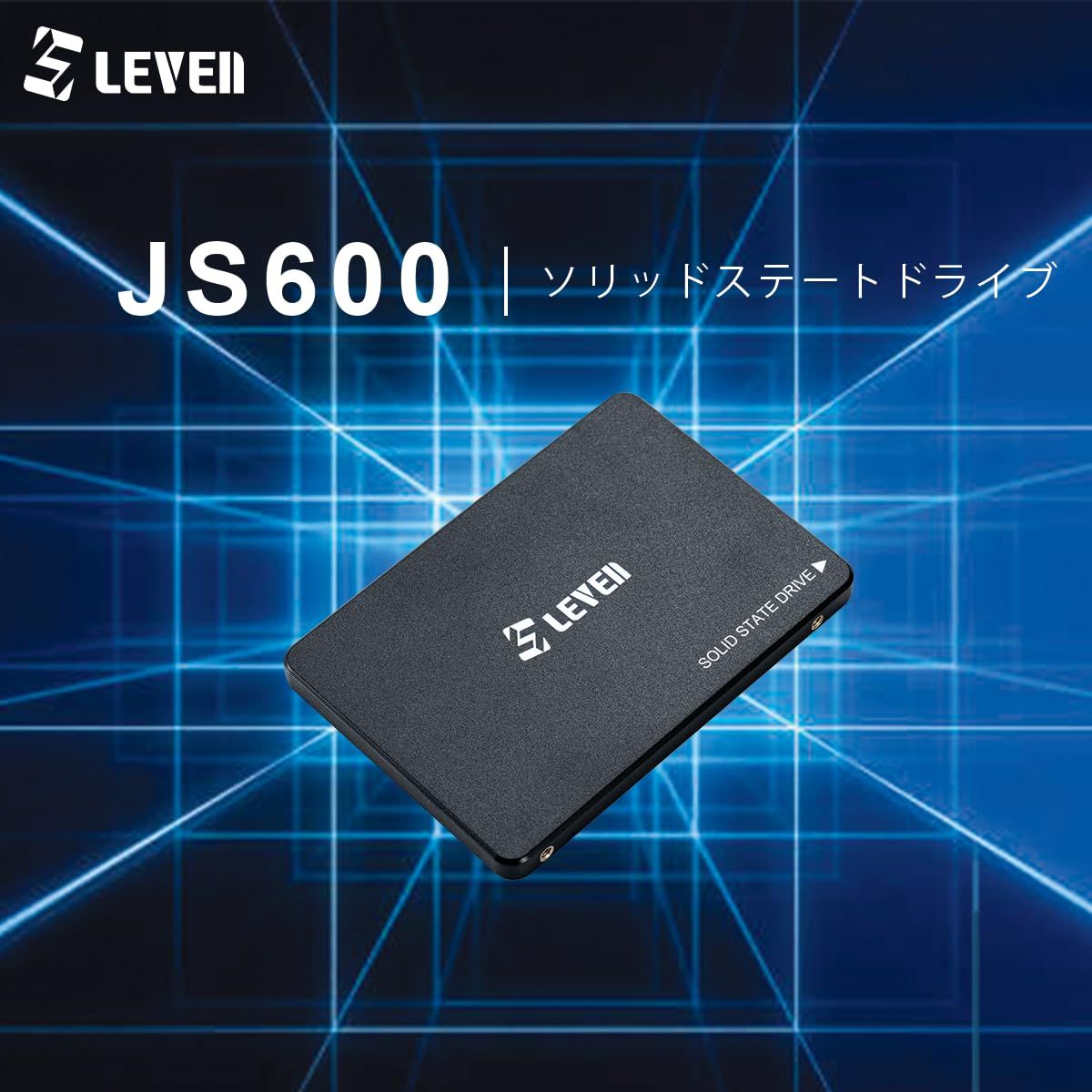 LEVEN 内蔵SSD 2.5インチ 3D NAND /SATA3 6Gbps SSD 3年保証