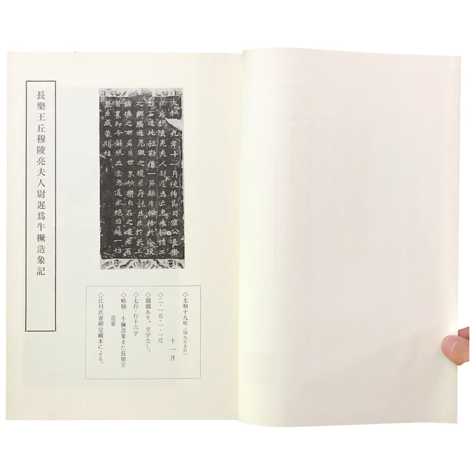 龍門二十品 広瀬保吉 清雅堂 昭和50年6月25日 ☆石碑拓本/中国書道/法