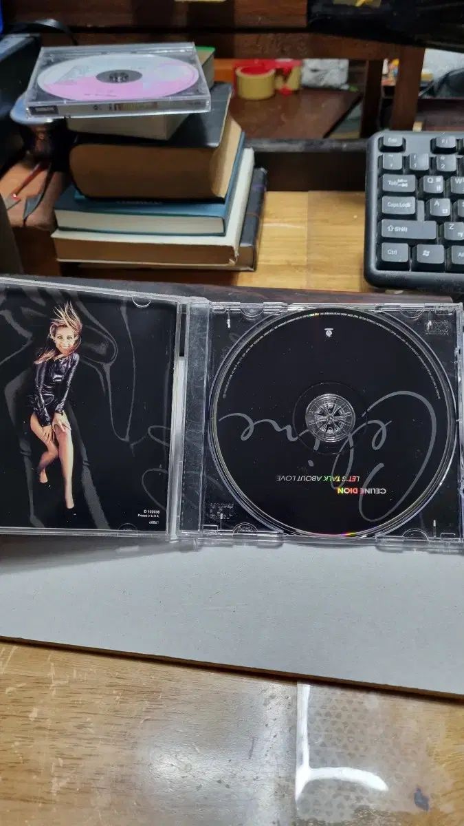 CELINE DION LET STALK ABOUT LOVE WWW_TRAVELLANDINDIA_COM