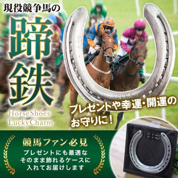 ☆「幸運を呼ぶラッキーホースシュー」額縁付き栗東競走馬使用