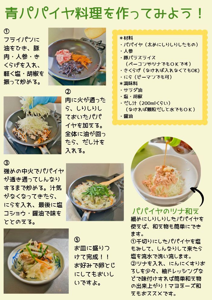 青パパイヤ 7kg greenpapaya クール便 健康野菜 スーパーフード