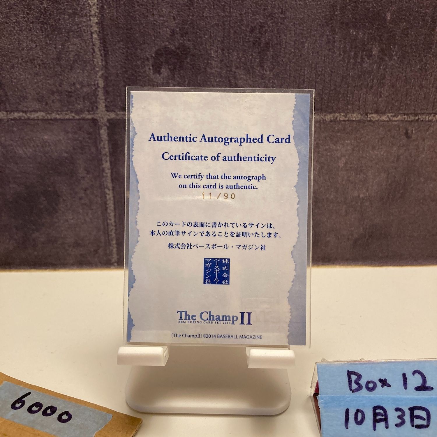 Horsegirl　直筆サインCD Horsegirl 「Phonetics On and On」 - more records