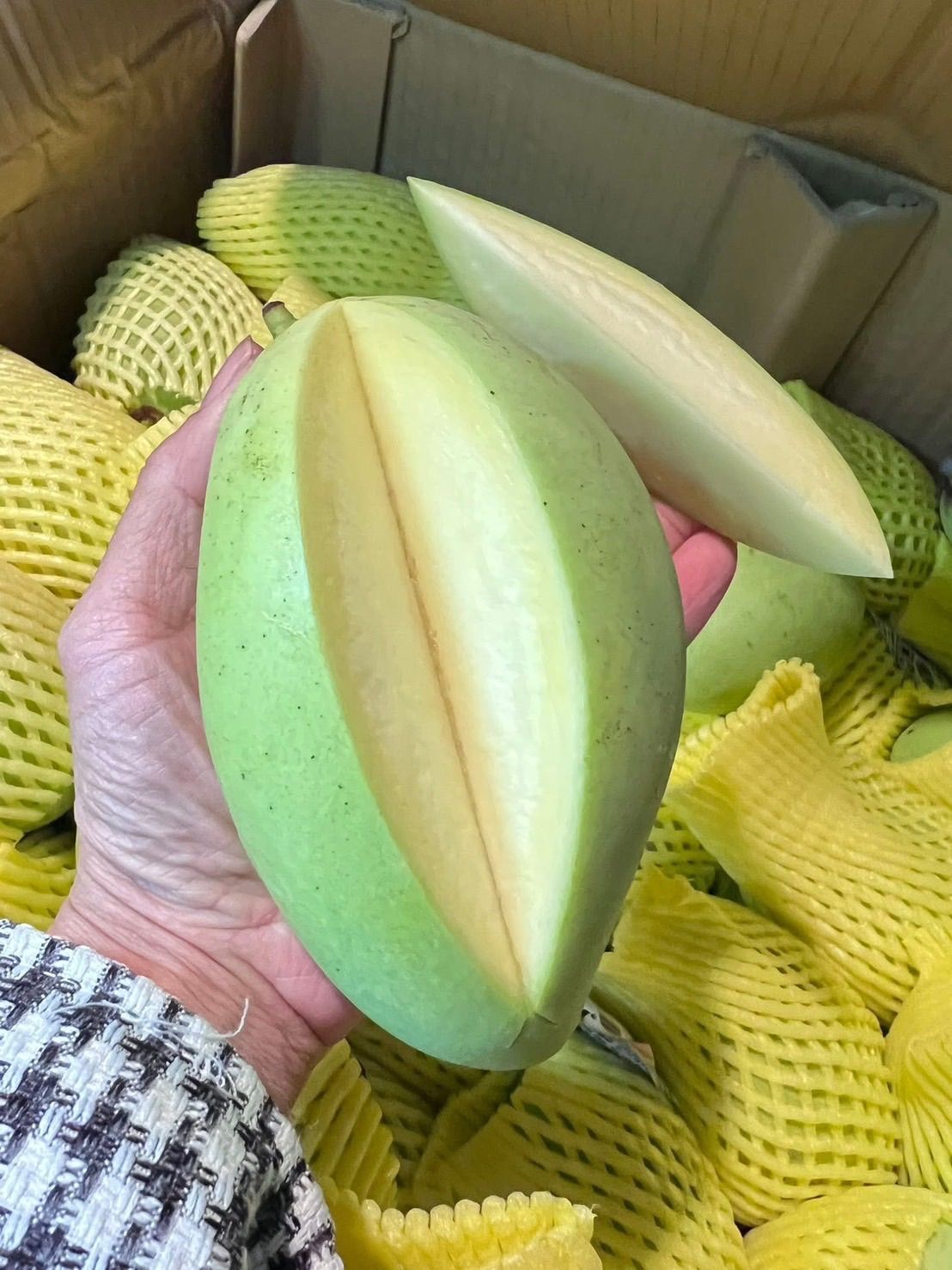 🥭ベトナム産グリーンマンゴー 約2kg 5～8個 冷蔵発送 - メルカリ