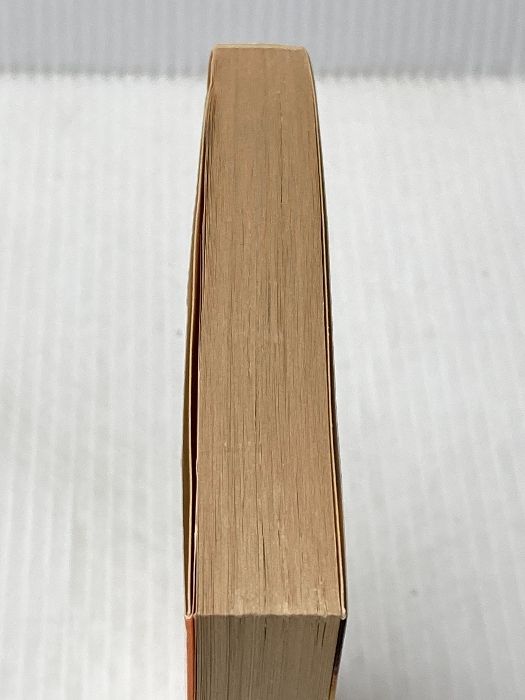 空白のピラミッド ノン