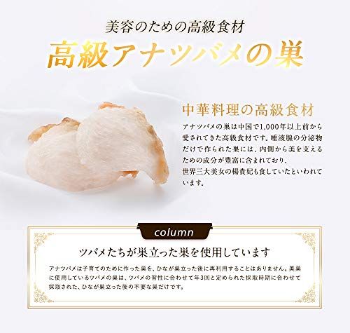 ラベンダー ｜