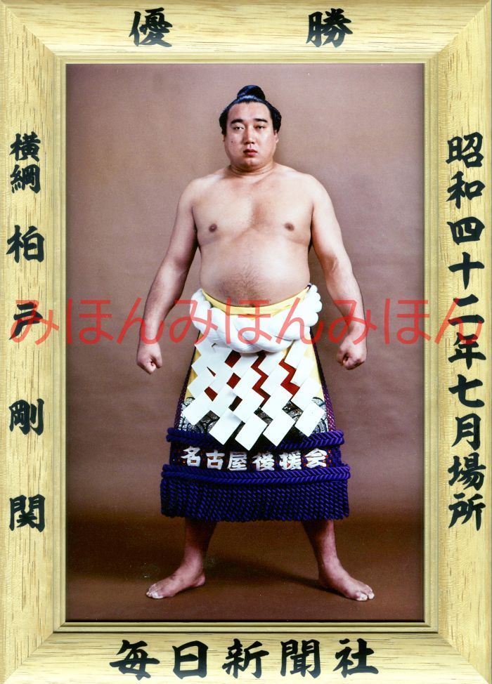 新品】PASTELRIB アートポスター（大型A2サイズ）約60x42cm 楽天市場