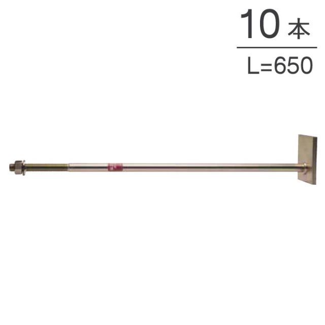 オメガー ホールダウン 偏心座金付ボルト2 M16×650mm AF5H65 10本単位 六角ナット スプリングワッシャー付 木造軸組 ホールダウン金物 木造軸組 基礎と柱脚の緊結 柱と横架材の緊結 上下階の柱相互の緊結 大工 建設工事 建前 上棟式
