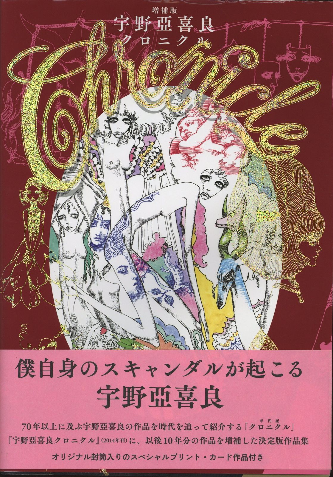宇野亞喜良 増補版 宇野亞喜良クロニクル