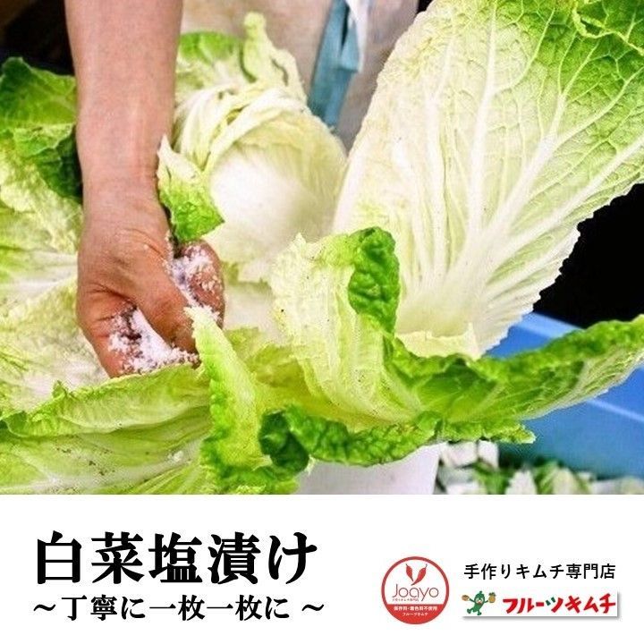 カットキムチ 1kg 14個（14kg） 白菜キムチ 辛さ控え