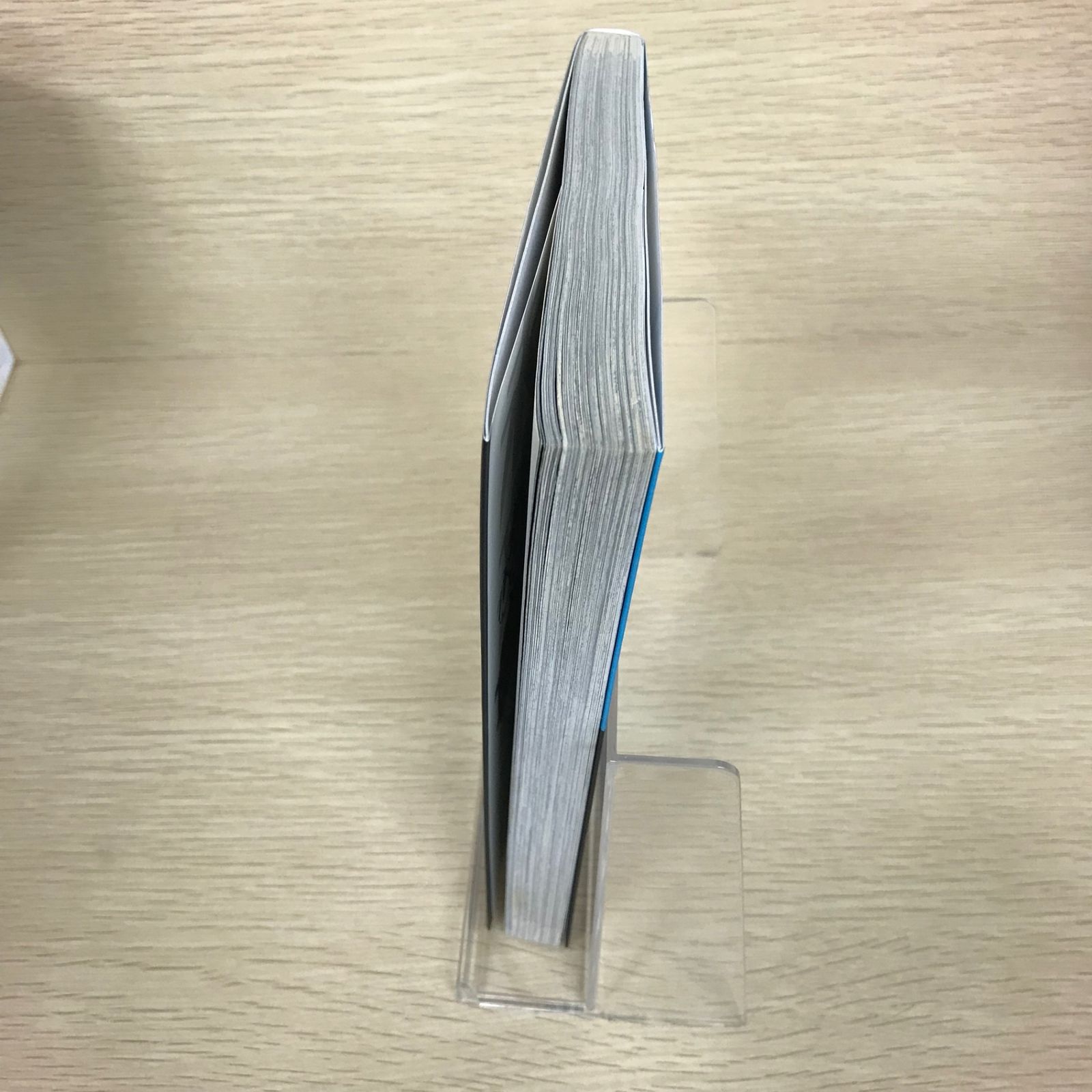 未来日記 パラドックス/【作者】えすのサカエ/GF-0225037881-YP