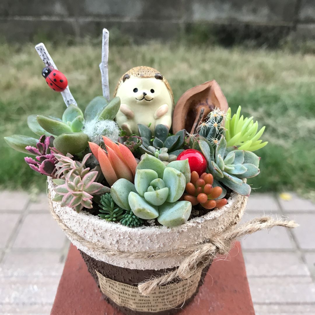 ♡そのまま飾れる♡リメ鉢♬はりねずみちゃんの多肉植物寄せ植え