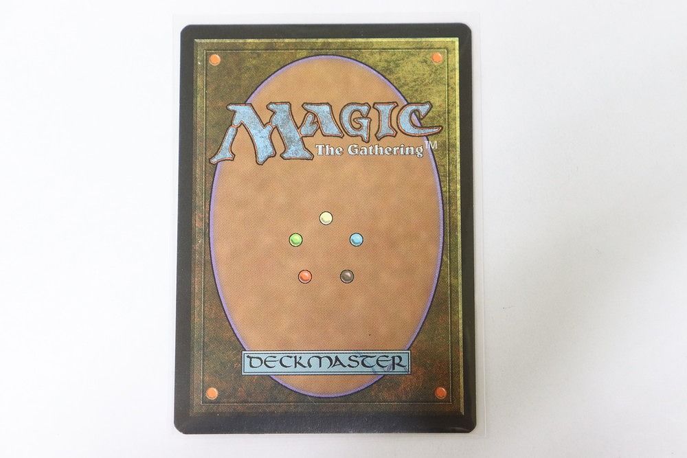 マジック ザ ギャザリング MTG テンペスト 緑属性 大地の知識 Earthcraft 英語 トレカ