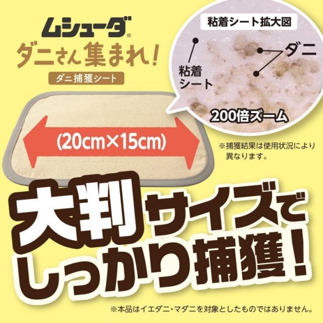 ダニさん集まれ