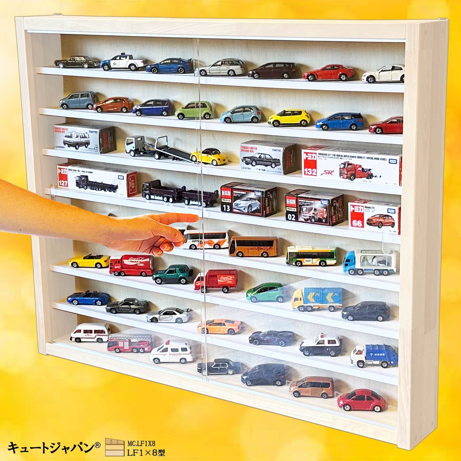 ミニカー収納ケース 1×6・1×ワイド ミニカーケース コレクション
