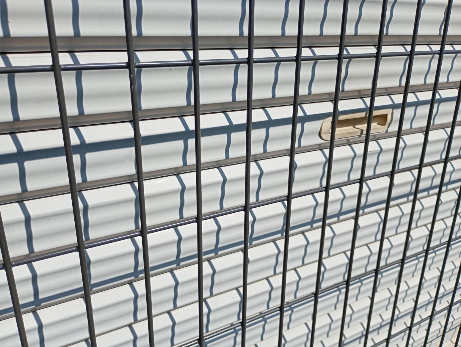 オータムブラウン T12