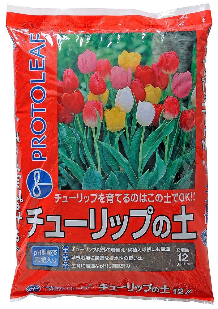 dpopworld ビーニー flexwitme