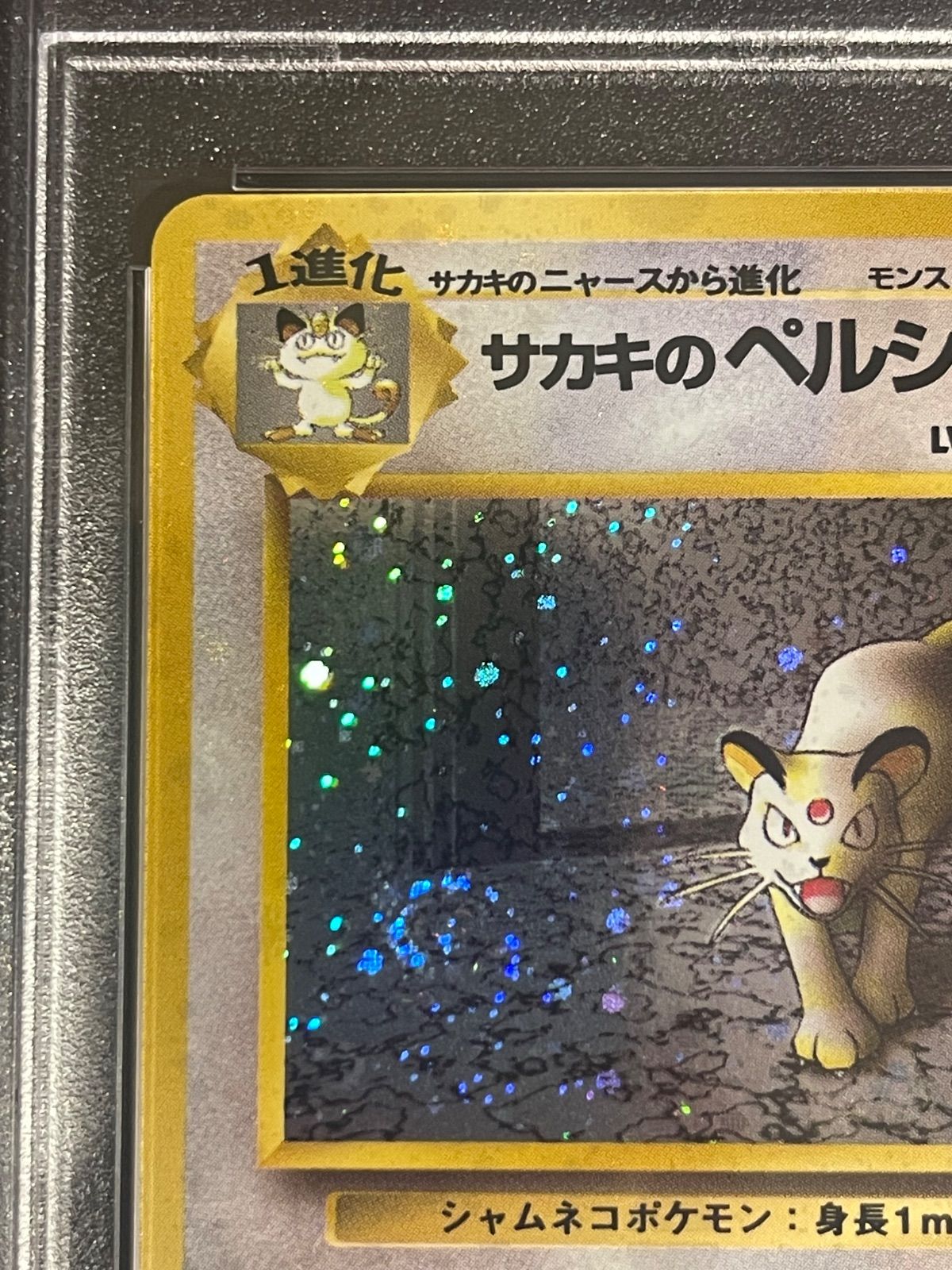 ポケモンカード 1999年 サカキのペルシアン 旧裏 PSA9鑑定品 - メルカリ