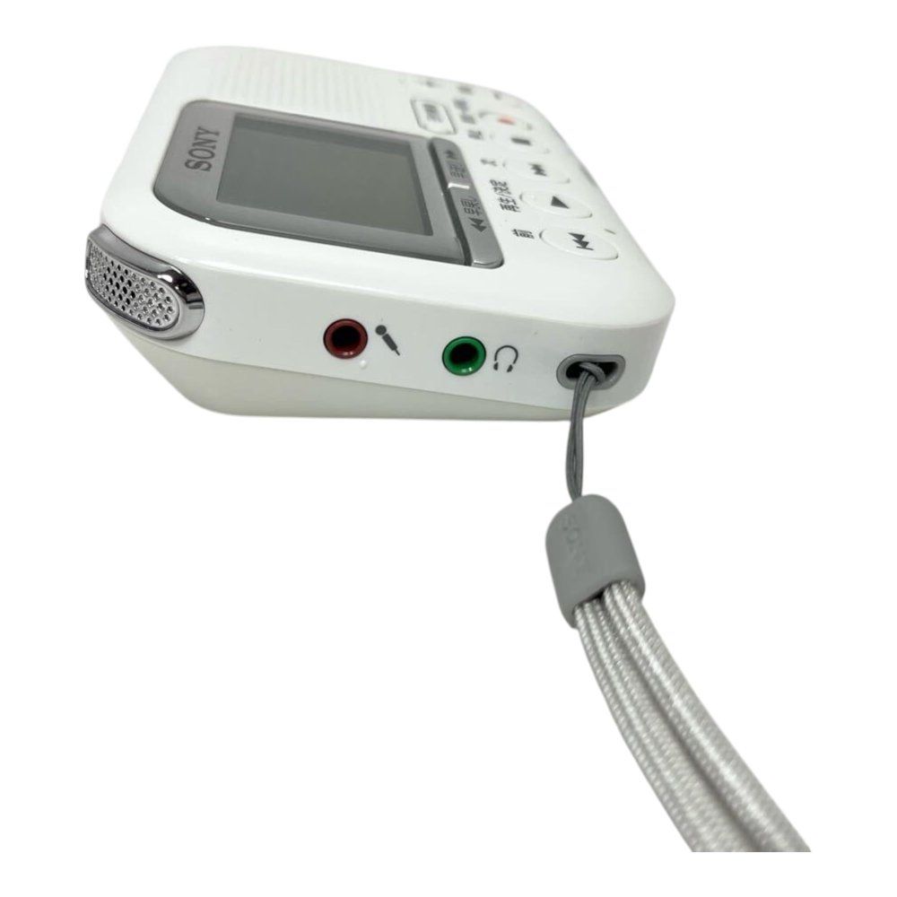 ICD-LX31