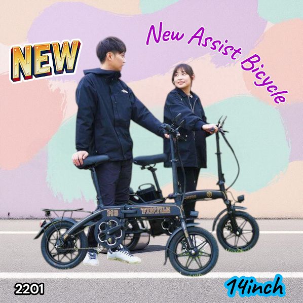 2201 電動 アシスト 自転車 14インチ 折りたたみ コンパクト LCDディスプレイ 各種 表示 3アシストモード MINAL M6 北海道 沖縄本島 沖縄の離島 その他離島へは別途配送料有り