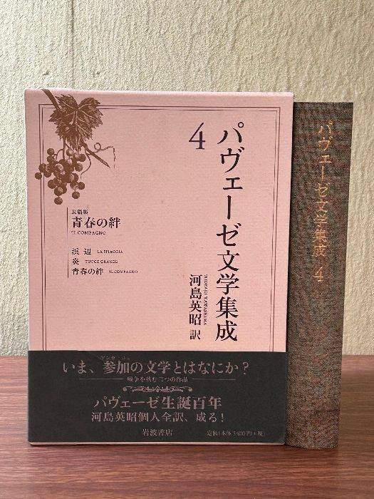 Roald DAHL collection 20冊 洋書 英語 英語絵本 Roald DAHL collection 20冊 洋書 英語