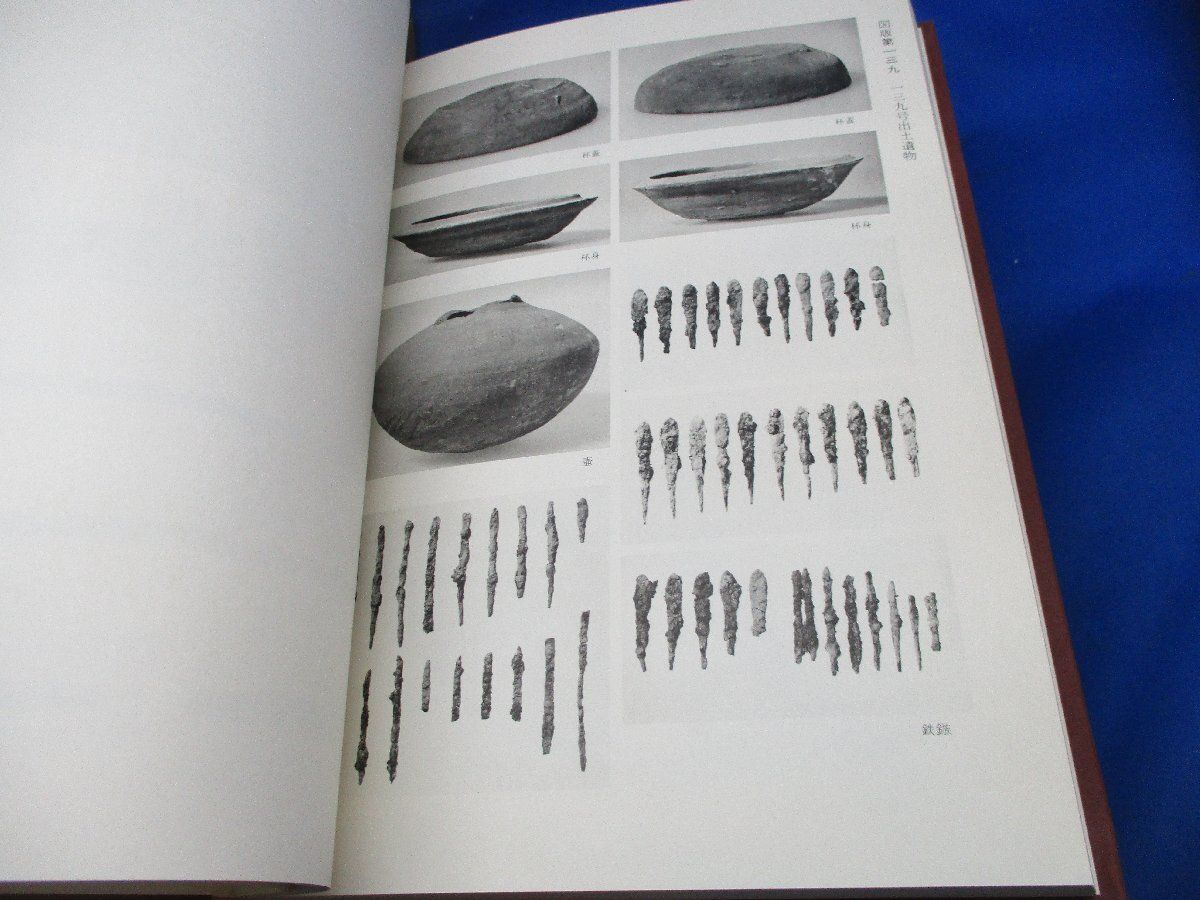 奈良県史跡名勝天然記念物調査報告 第39冊