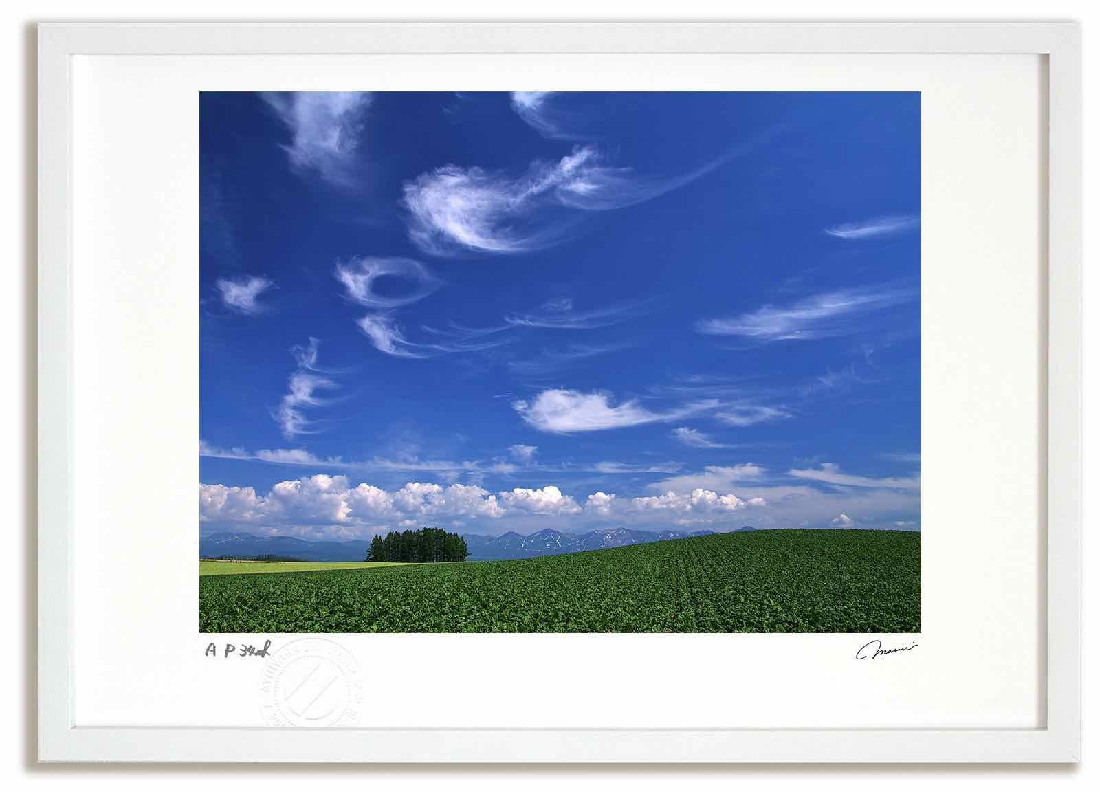 絵画 インテリア 額付( 黒) 油絵 F3-031119 祈り 子猫と女の子 楽天