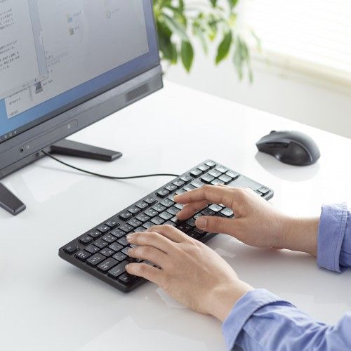 サンワサプライ 静音キーボード SKB-SL38BK
