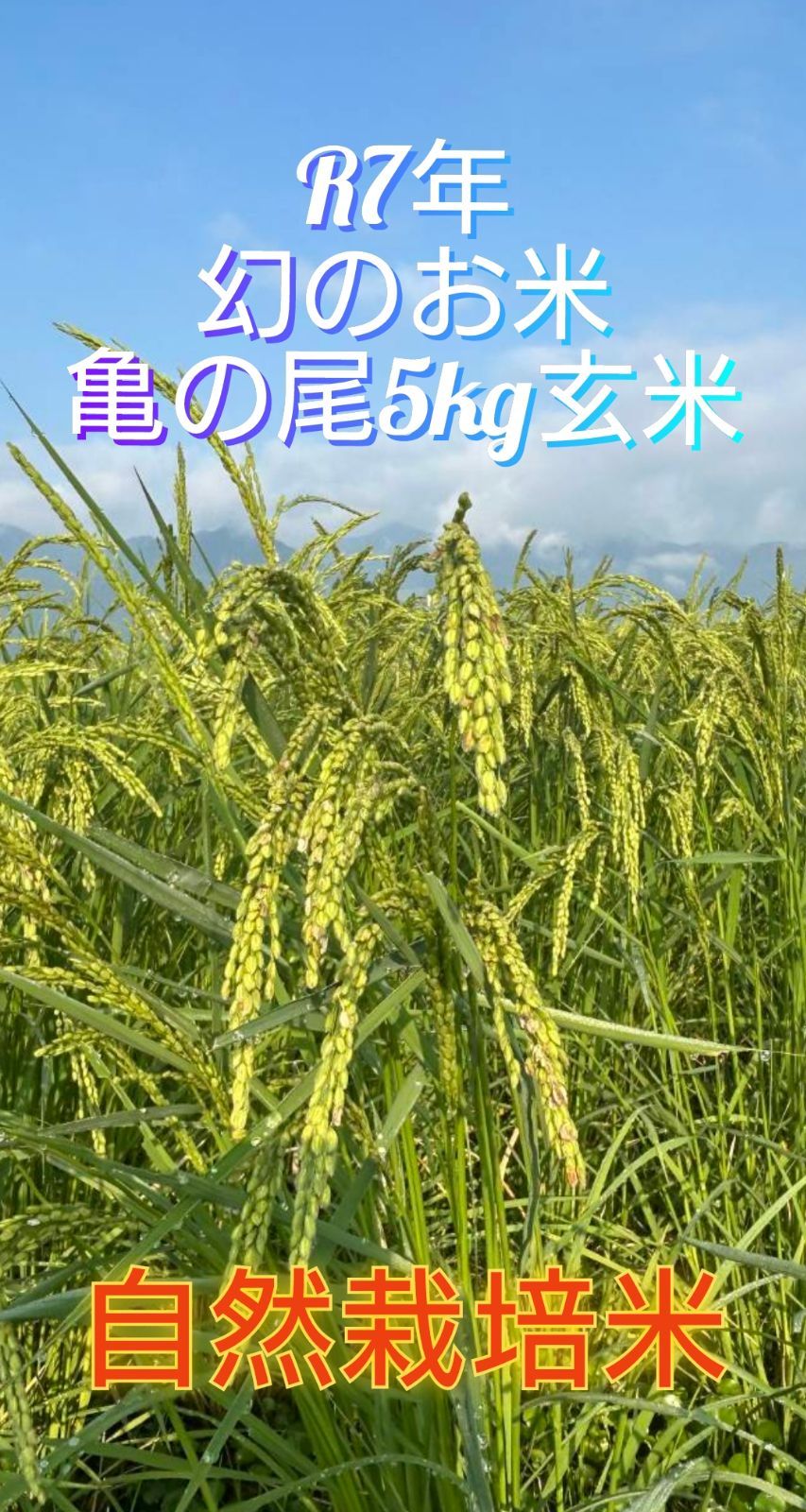 グローイング・アップ('78イスラエル/米) 廃盤・未開封】グローイング